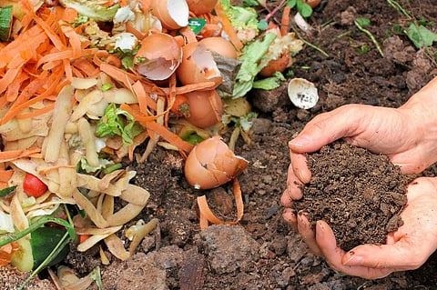 PCS is based on the optimised management of inputs in a field according to crop needs: Photo: iStock