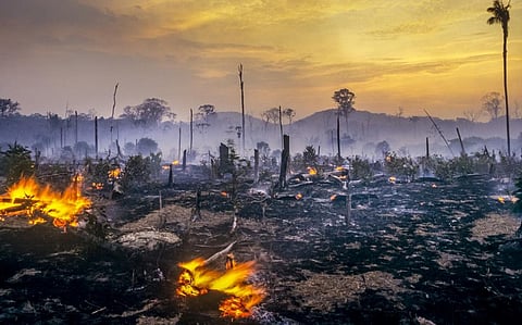 Photo: iStock
