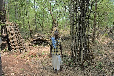 Bebri village, Nayagarh. Photo: Arabinda Mahapatra
