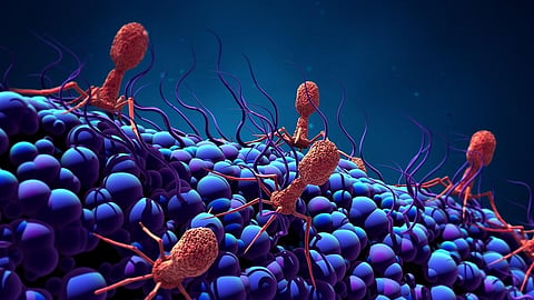 Viruses may be ‘watching’ you — some microbes lie in wait until their hosts unknowingly give them the signal to start multiplying and kill them