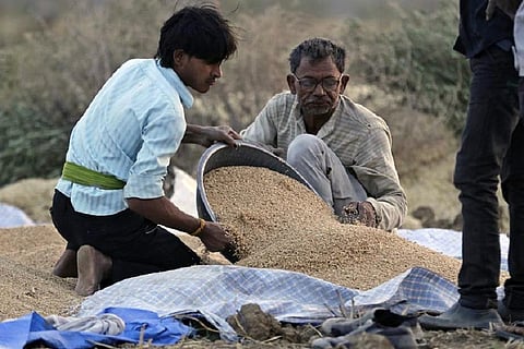 यूक्रेन-रूस संघर्ष: गेहूं की कीमतों में हो सकती है 7.2 फीसदी की वृद्धि, बढ़ेगा उत्सर्जन