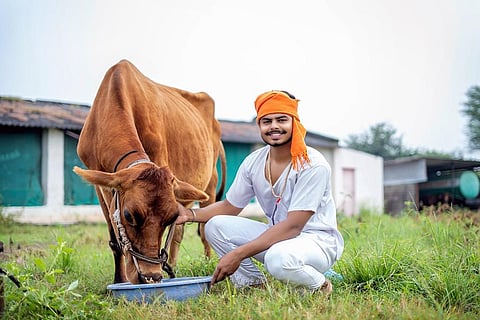 100 करोड़ अतिरिक्त लोगों का भर सकता है पेट, पशु चारे में करना होगा बदलाव