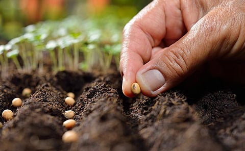 Photo: iStock