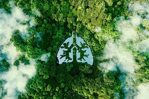 We owe our existence to this planet and must work together to protect its environment. Photo: iStock