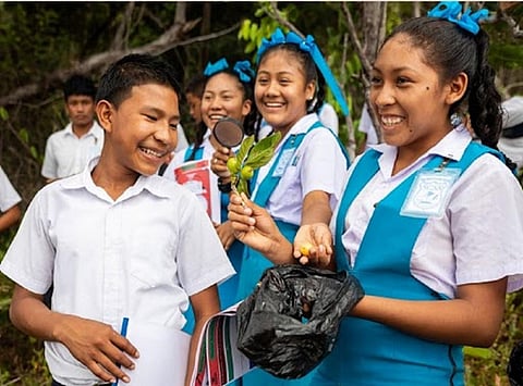 Students in secondary schools receive little or no exposure to forests, which makes them less enthusiastic about pursuing further studies in forestry. Photo: A screen grab from the report.