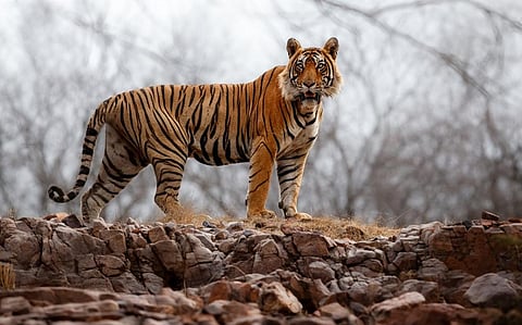 Representative photo from iStock
