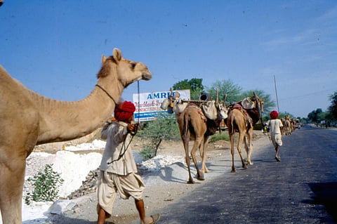Jaisalmer