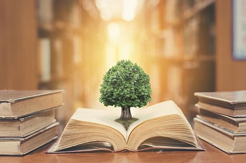 Photo: iStock