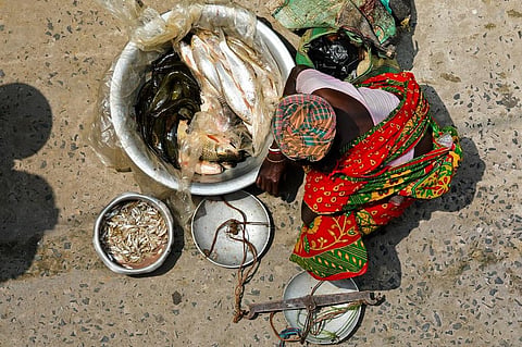Policymakers frequently fail to consider gender-related inequalities despite evidence indicating their link to food affordability. Photo: iStock