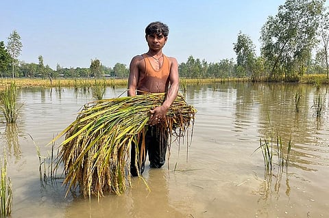 पानी में भीगे धान निकाल कर सड़क पर रखने जाते सुरेश गुप्ता। फोटो: अरविंद शुक्ला