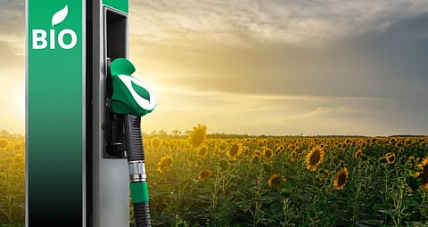 The policy highlights four bioenergy constituents: Compressed biogas (CBG), ethanol, biodiesel and bio-coal. Photo: iStock
