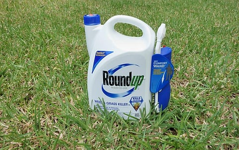 The makers of Roundup are being forced to pay $10.9 billion towards compensation to settle cancer suits. Photo: iStock