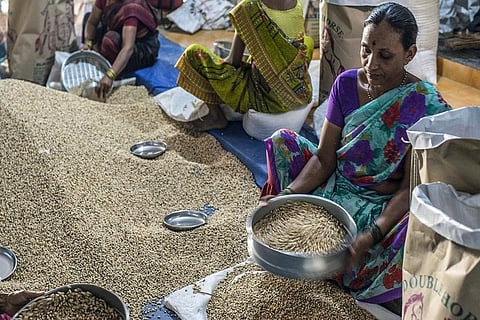 मुंबई के एक बाजार में अनाज की सफाई करते श्रमिक; फोटो: अतुल लोके/ एफएओ