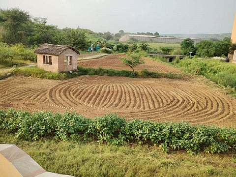 Demo organic / natural faming plots situated at Anil Agarwal Environmental Training Institute’s campus in Nimli village in Alwar district, Rajasthan. Photo: CSE