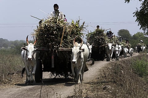 जलवायु संकट: जलवायु रिकॉर्ड का चौथा सबसे गर्म अक्टूबर इस साल 2022 में किया गया दर्ज