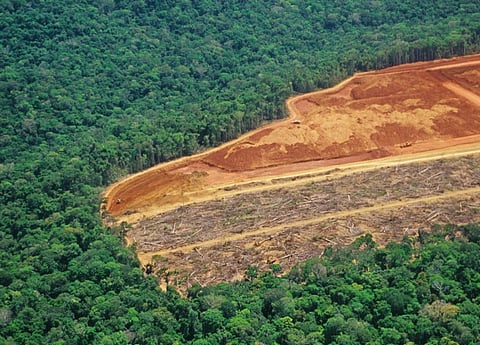 The Amazon is threatened due to deforestation, fires and degradation. Photo: iStock.