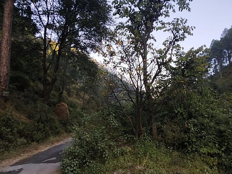 फोटो : चरखा फीचर सेवा
