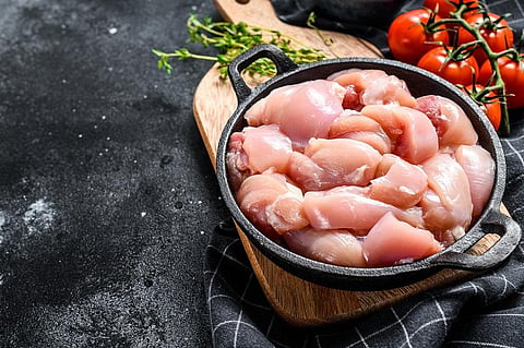 Antibiotics are widely used in animals in industrially farmed animals for enhanced growth and disease prevention. Photo: iStock