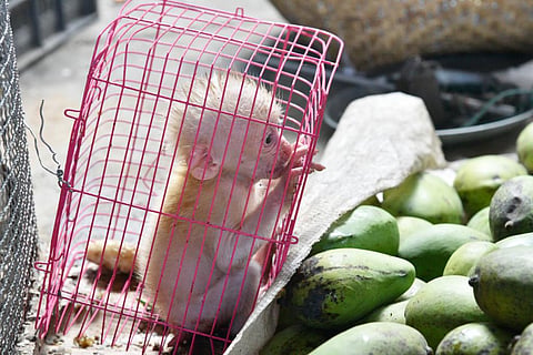 Photo: iStock
