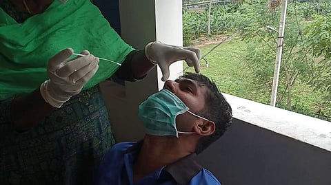 A man being tested for COVID-19, a zoonotic disease that was transferred from animals to humans. Photo: Wikimedia Commons