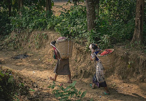 Indigenous people have been custodians of their lands, territories and waters for millennia, members of a forum representing indigenous people said. Photo: WIkimedia Commons