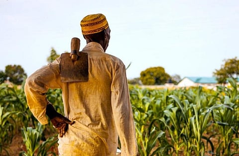 Farmers in Northern Ghana are among the poorest in the country. PhotoL Wikimedia Commons