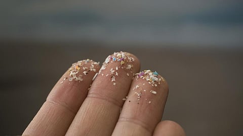 Photo: iStock