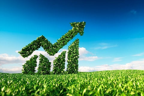 The agri-food sector alone contributes to an average of 30-60 per cent to gross domestic product and about 30 per cent to export earnings per country. Photo: iStock.