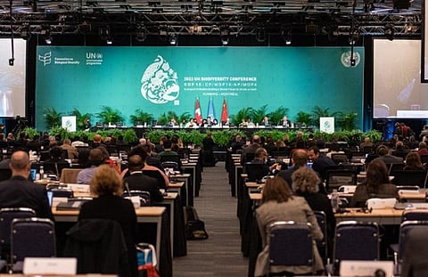 Photo: @EU_Commission Directorate-General for Environment (DG ENV) via Twitter
