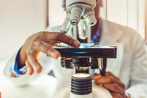 The researchers asserted that viruses can also be served as food as they were built on carbon and other basic cornerstones of life. Representative photo: iStock