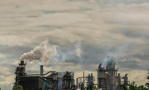 Photo: iStock