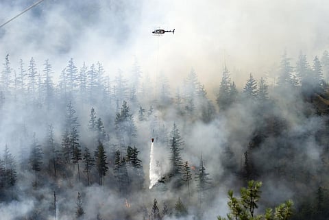 Photo: iStock