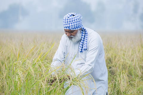 Photo: iStock
