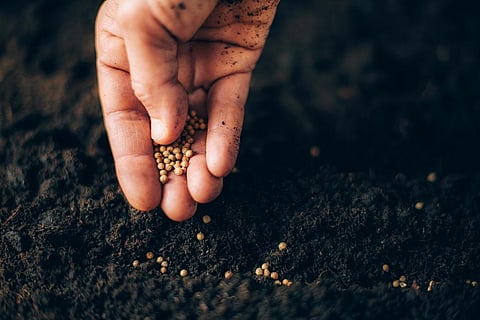 Currently, India has the potential to generate 62 million metric tonnes of compressed biogas (CBG) and 370 million metric tonnes of bio manure per year from various feedstocks. Representative photo: iStock.
