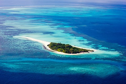 Photo: iStock
