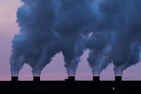 फोटो साभार : विकिमीडिया कॉमन्स, टोनी वेबस्टर