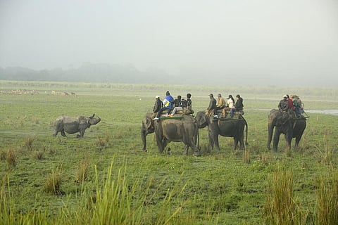 Assam is the global topper within the top 50 vulnerable regions in terms of increase of climatic impacts during 1990-2050, a whopping 330 per cent. Photo: iStock