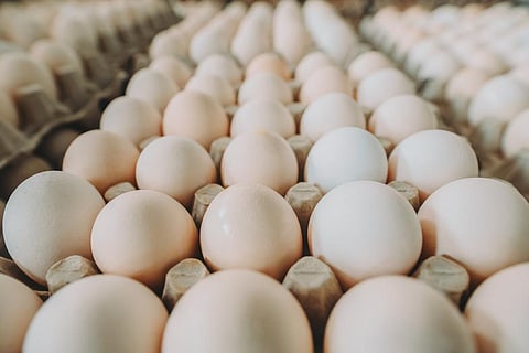 The avian flu has largely been attributed to the soaring rates of eggs in the US. Photo: iStock