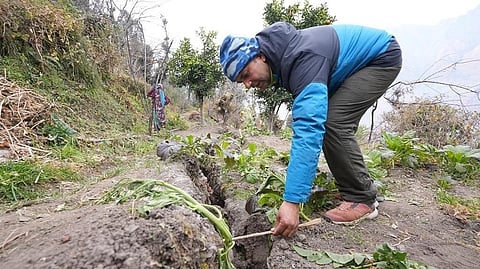 No official report into the reason behind the large-scale land subsidence in Joshimath has been released yet. Photo Sunny Gautam / CSE