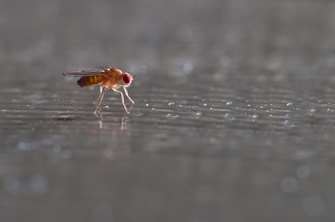 Photo: Shutterstock