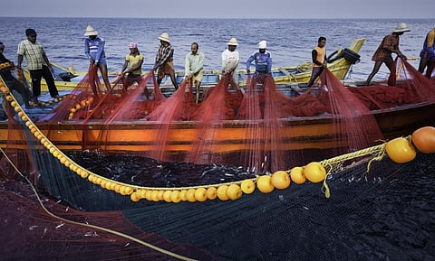 Photo: iStock