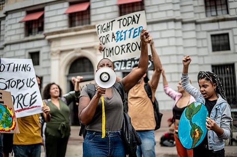 More than one million letters of protest have been written to the White House and a Change.org petition calling for Willow to be halted has drawn more than three million signatures. Photo for representation: iStock