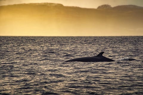 Photo: iStock