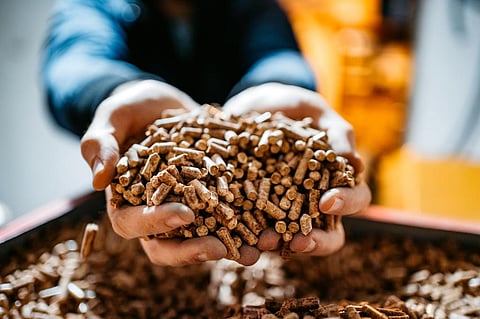 Coal is to be replaced with densified biomass, called pellets, by 5-10 per cent by weight, according to a policy by Centre issued in 2021. Photo: iStock