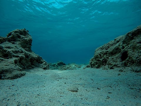 The ministry also listed the non-materialisation of tenders for constructing a research vessel for the Indian Ocean and chartering a vessel for surveying and exploring Hydrothermal deposits (mineral ores from fissures on the seabed, as other reasons. Representative photo: iStock.