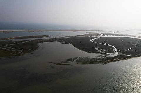 Mangrove trees were planted in a total area of 60 ha on the small islands between Arakhakuda village and the coast. However, many trees were lost during Cyclone Fani in 2019. Photo: Midhun Vijayan / CSE