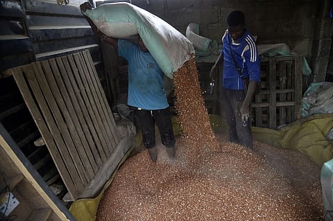 Beans are a favourite food in Nigeria — 4 safe ways to preserve them