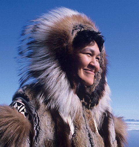 The Inuit have evolved to thrive in colder conditions for thousands of years. Photo: iStock