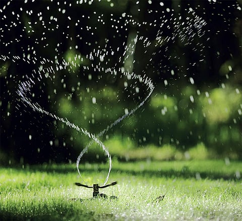 Photo: istock photo