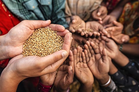 Some 80 per cent of the rural tribal household are either landless or marginal farmers, owning less than an acre of land. Representative photo: iStock.